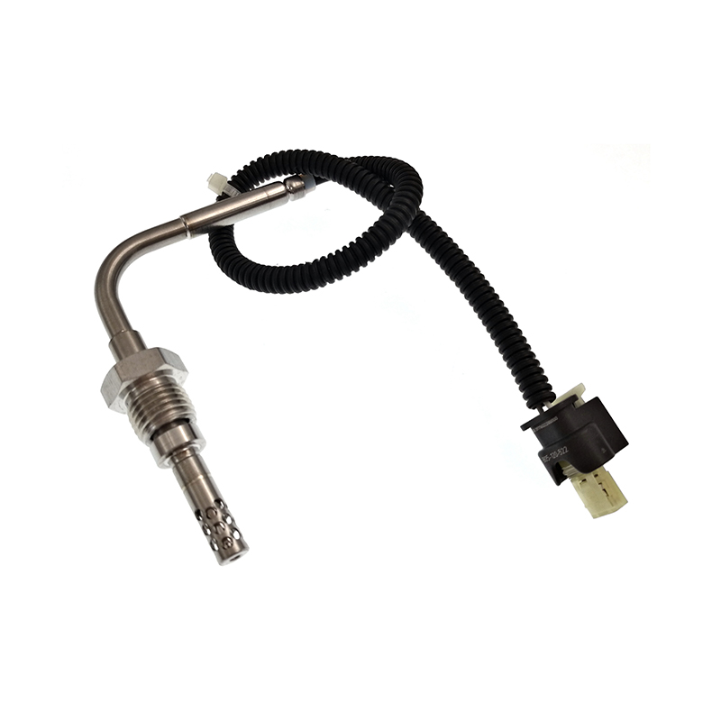 A0019050900,0019050900 PTC EGT Sensor
