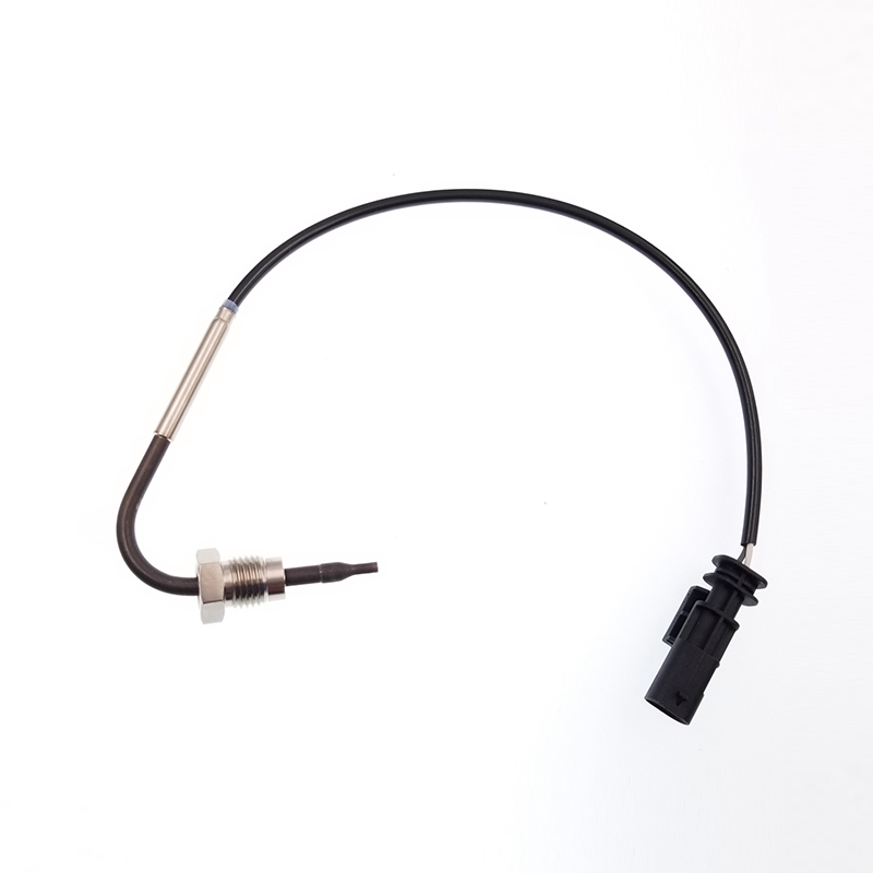 55570091 PTC EGT Sensor