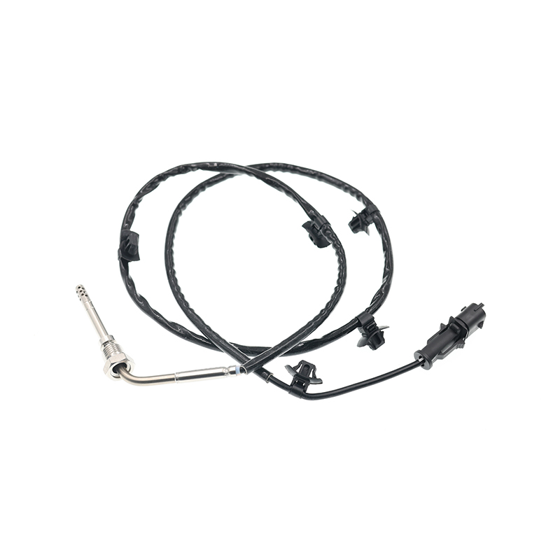 55580026,1247484 PTC EGT Sensor