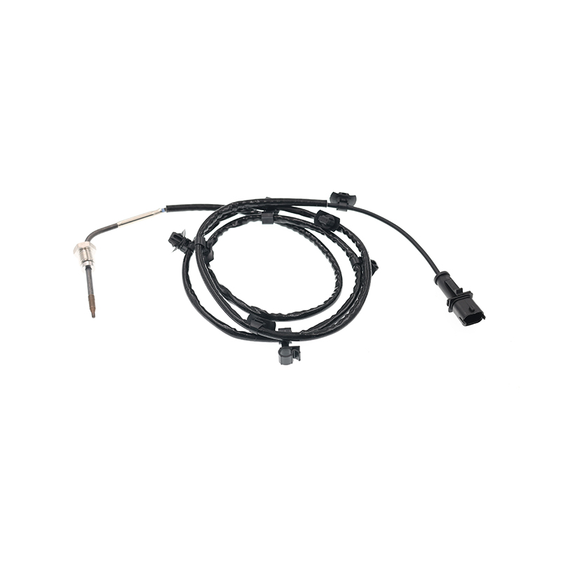 55588650,1247580 PTC EGT Sensor