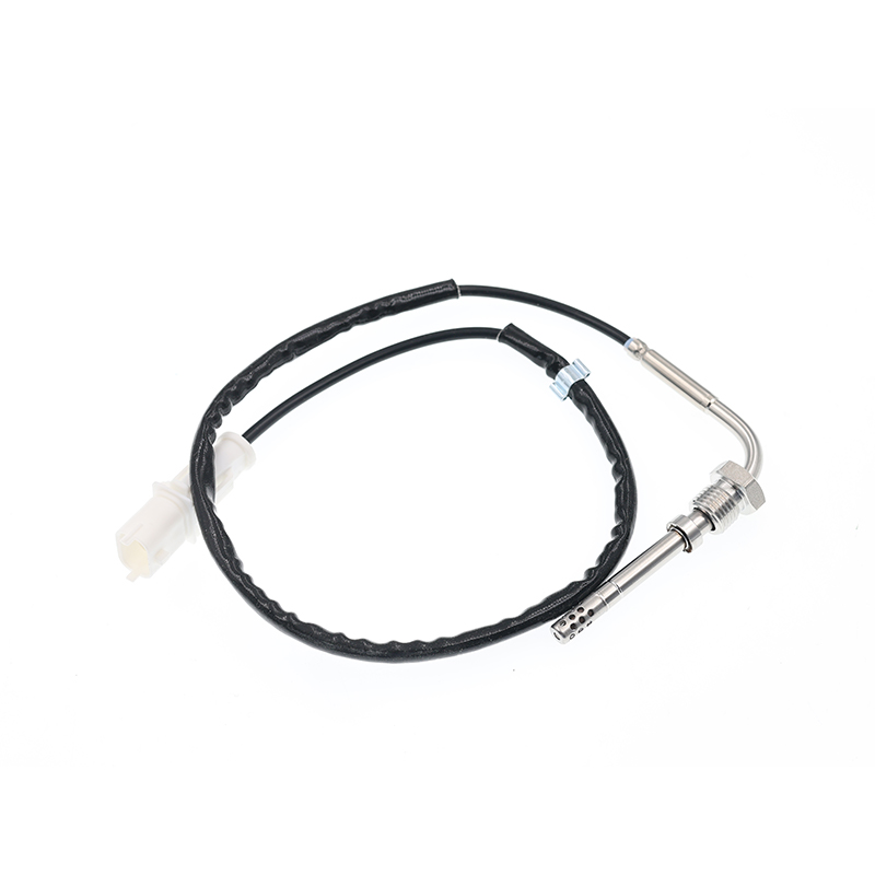 69502946  PTC EGT Sensor