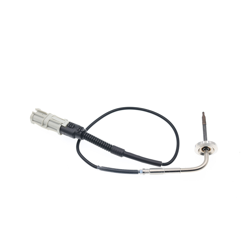81274210252,81274210263,2V5261583 PTC EGT Sensor