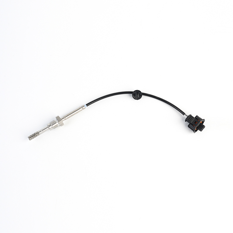 096436560,025183654,25183654 PTC EGT Sensor