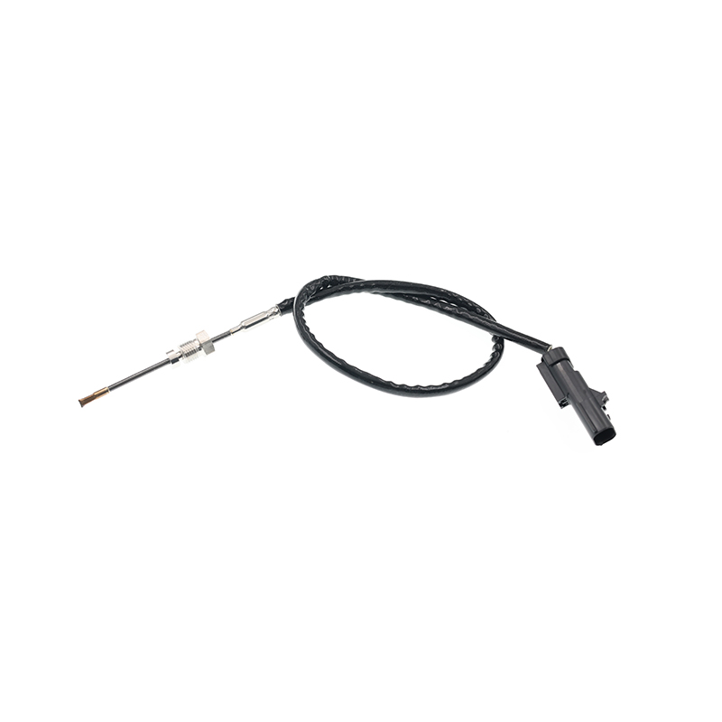 2593754C91,9047559,2604909C1 PTC EGT Sensor