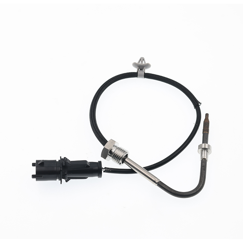 55591173,01247634,55496933 PTC EGT Sensor