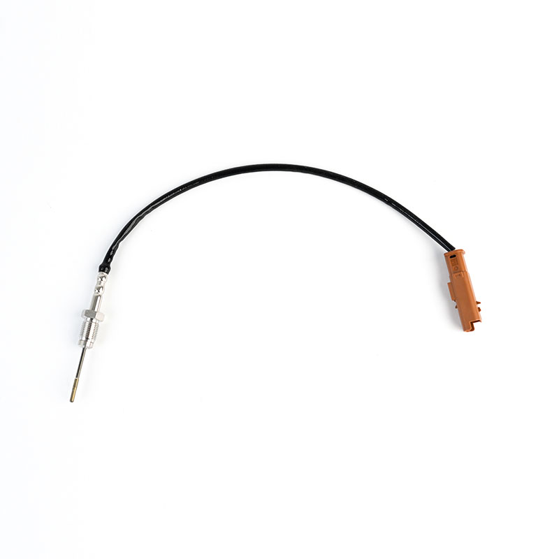 1618NF,9665090280,D06S090030H NTC EGT Sensor