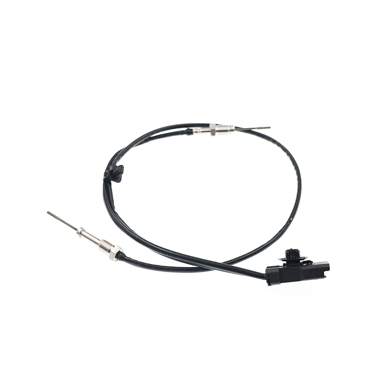 '9812376480 NTC EGT Sensor